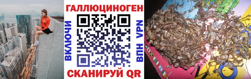 купить наркотик  Заречный  Галлюциногенные грибы мицелий 