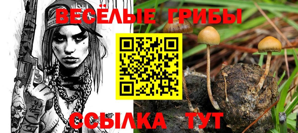 MDMA  Канабис  Вход с VPN  Кокаин  Заречный  ЭКСТАЗИ  LSD-25  Меф МЯУ МЯУ кристаллы  NBOMe  ГАШИШ 