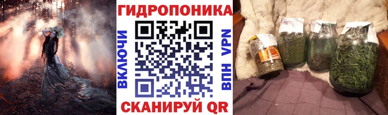 Каннабис AK-47  сколько стоит  Заречный 