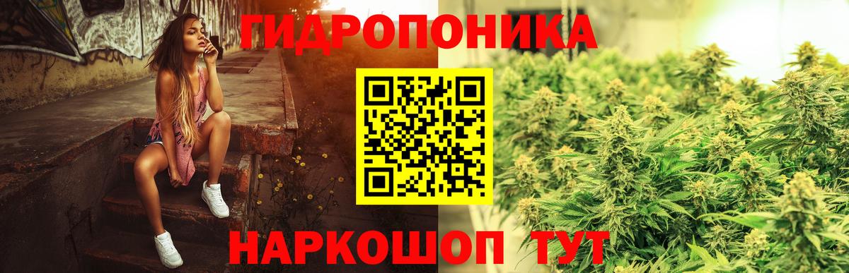 Канабис OG Kush Заречный